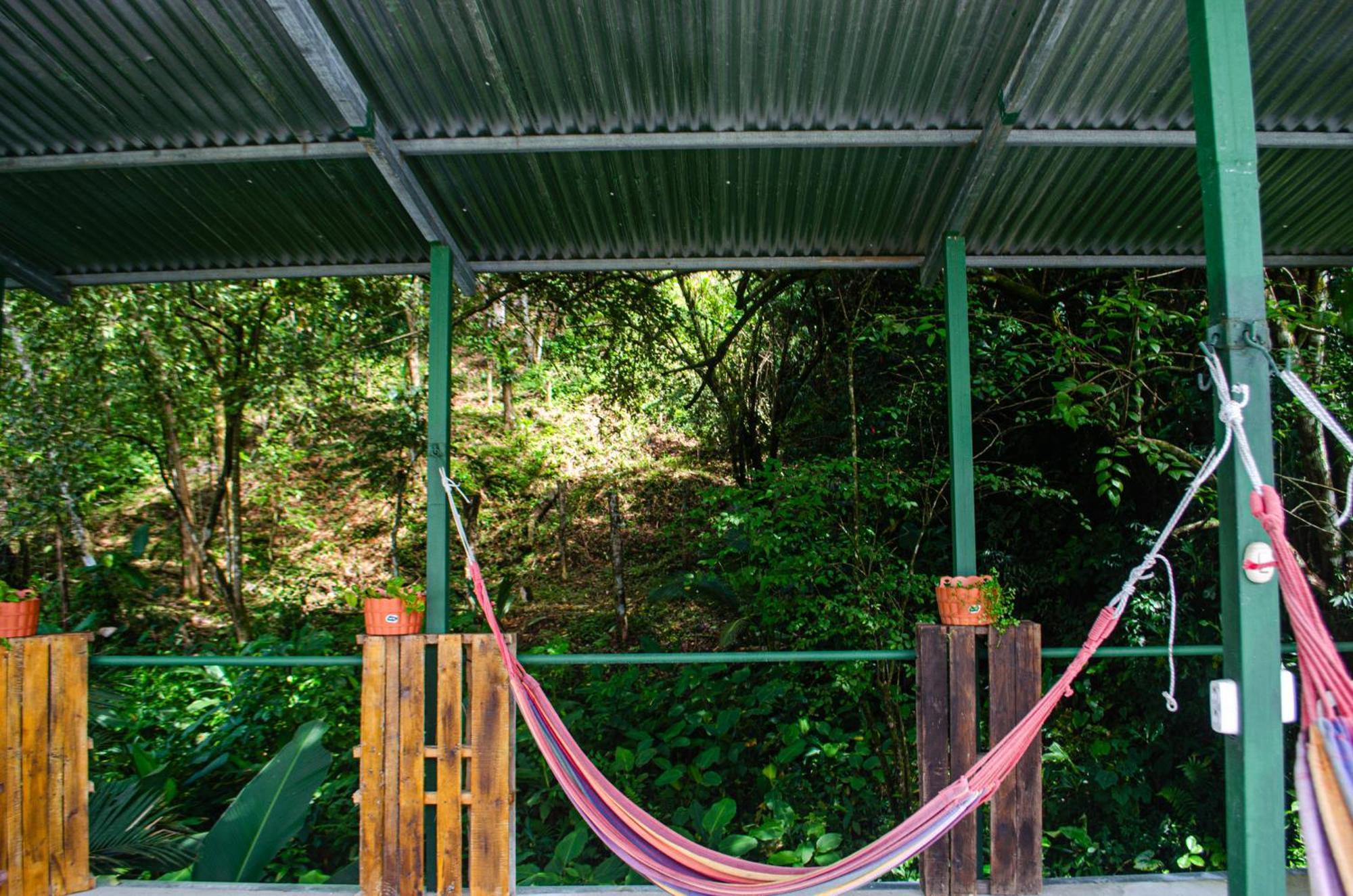 Bed and Breakfast The Jungle Container Quepos Exterior foto